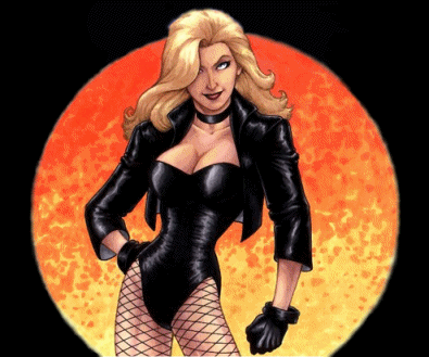 She's not Black Canary who can pull it off She's not Black Canary who can pull it off