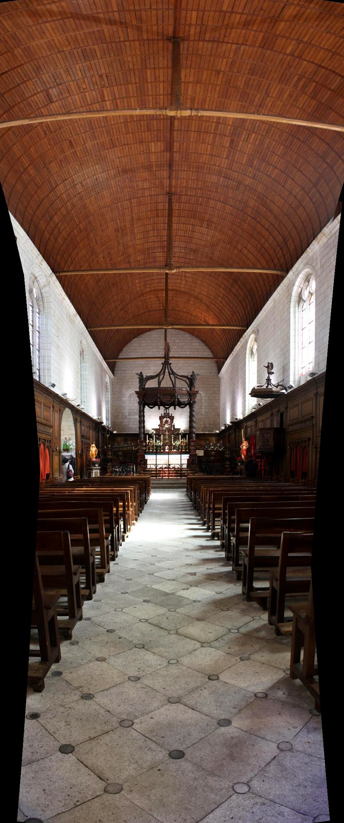 Rat des villes Tours Eglise Saint Grégoire des Minimes