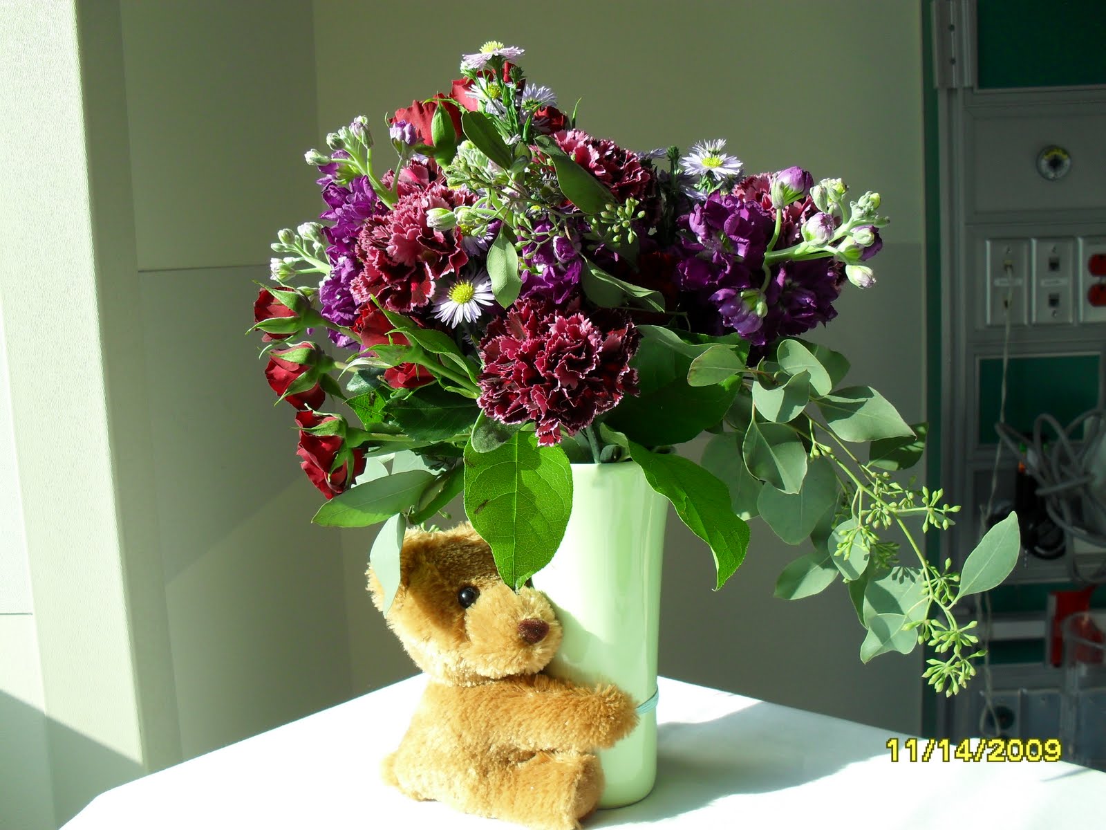 [11.2009.Hospitalization0031.JPG]