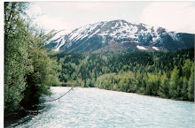 Kenai River