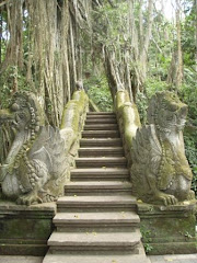 monkey forest