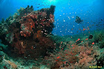 Nusa Penida