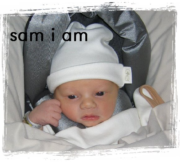 sam i am