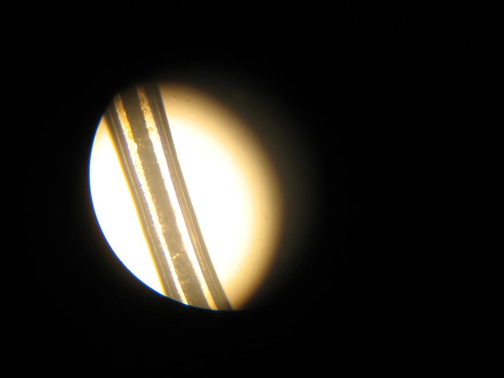 human hair forensics