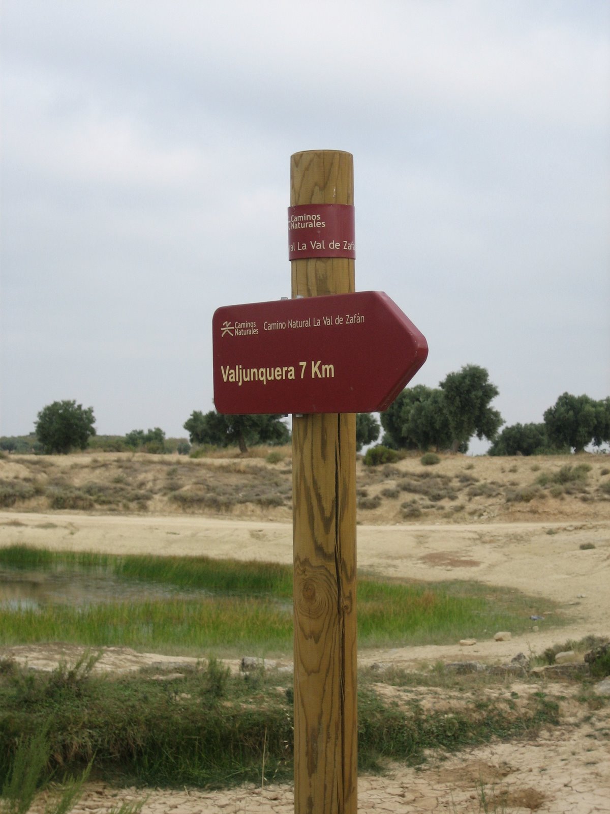 [IMG_1127.jpg]