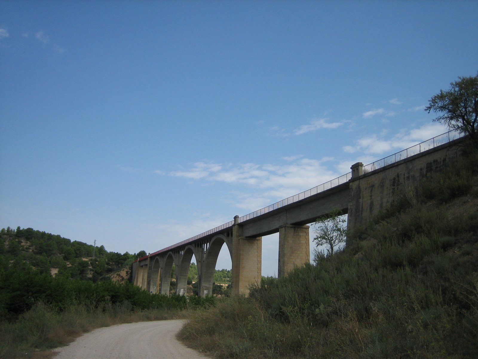 [IMG_1175.jpg]