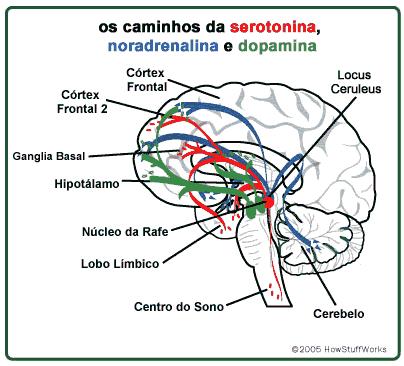 Quimica do Amor. Alana, Camila, Gabriela, Lisie, Yhasmin. Quimica do Amor. Alana, Camila, Gabriela, Lisie, Yhasmin.