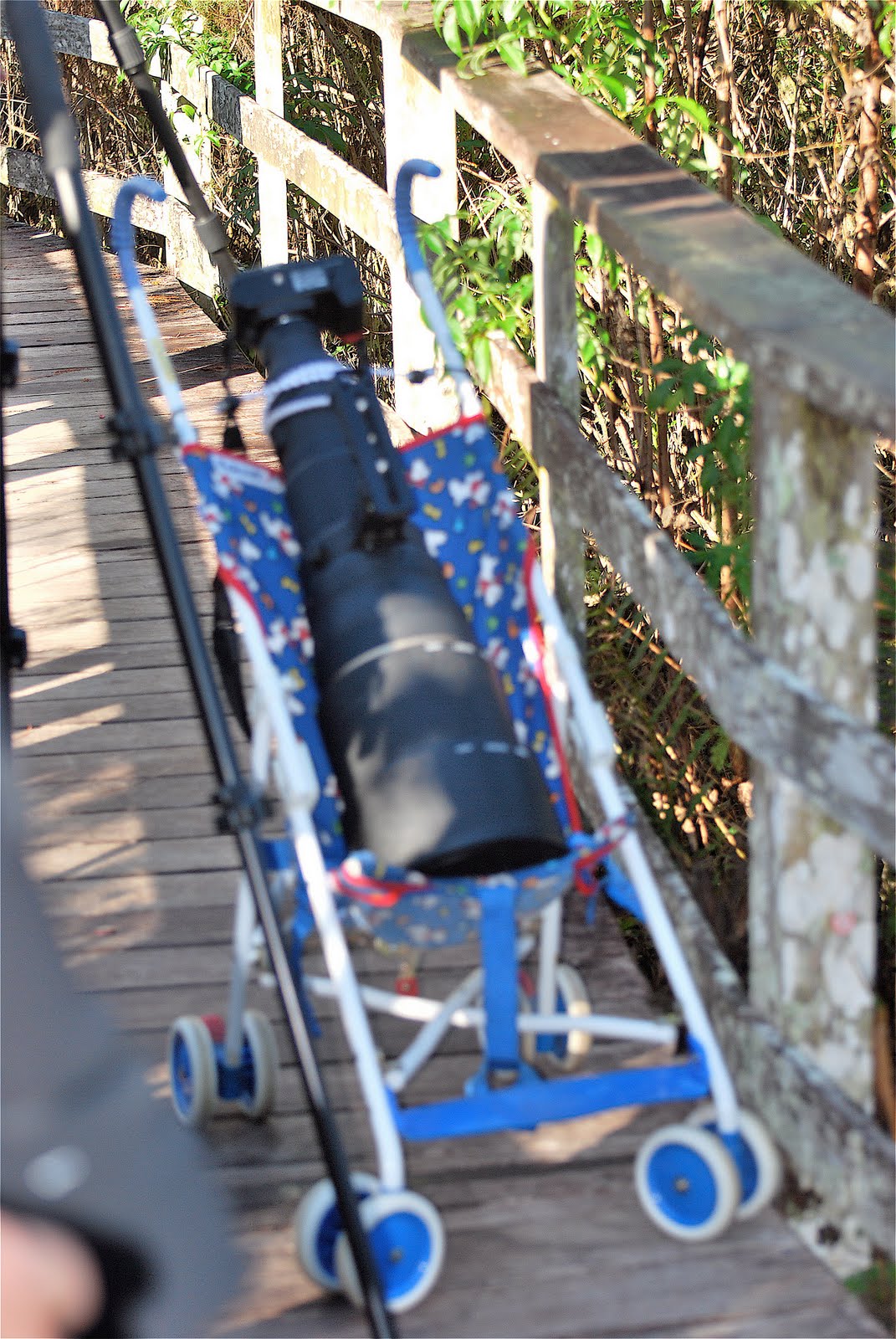 [lensin+baby+cart.jpg]