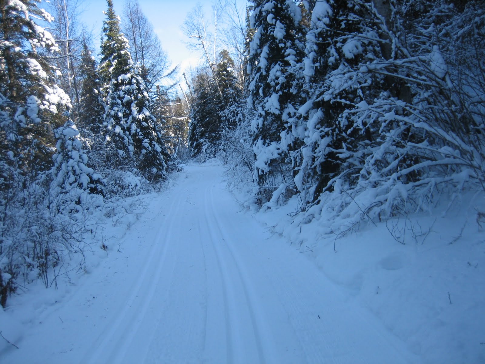 [IMG_2020.JPG]