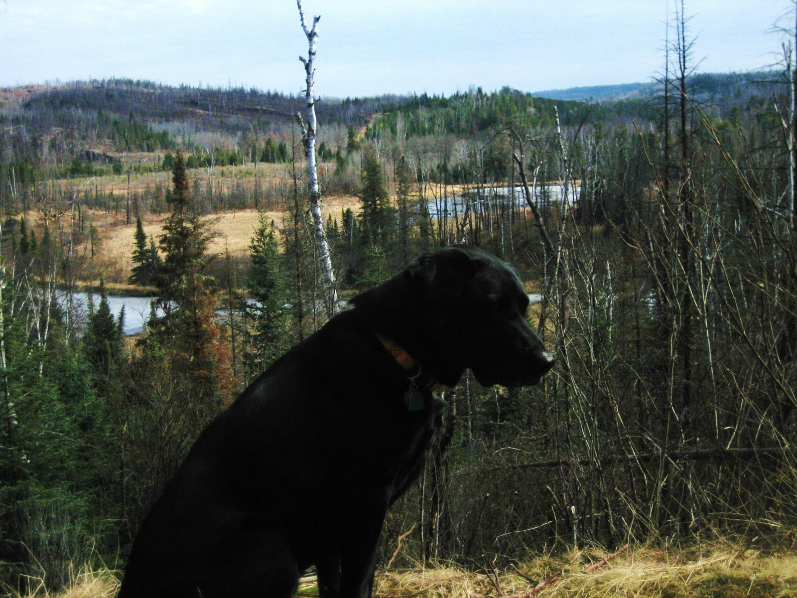 [denali+posing.JPG]