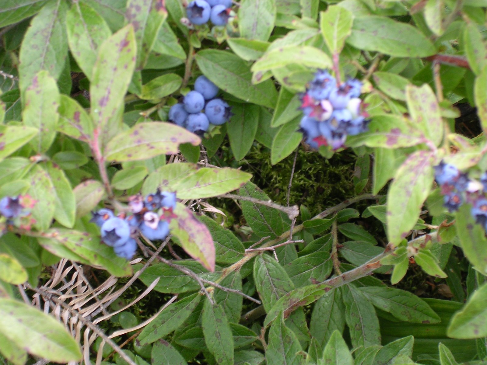 [DSCN3203.JPG]