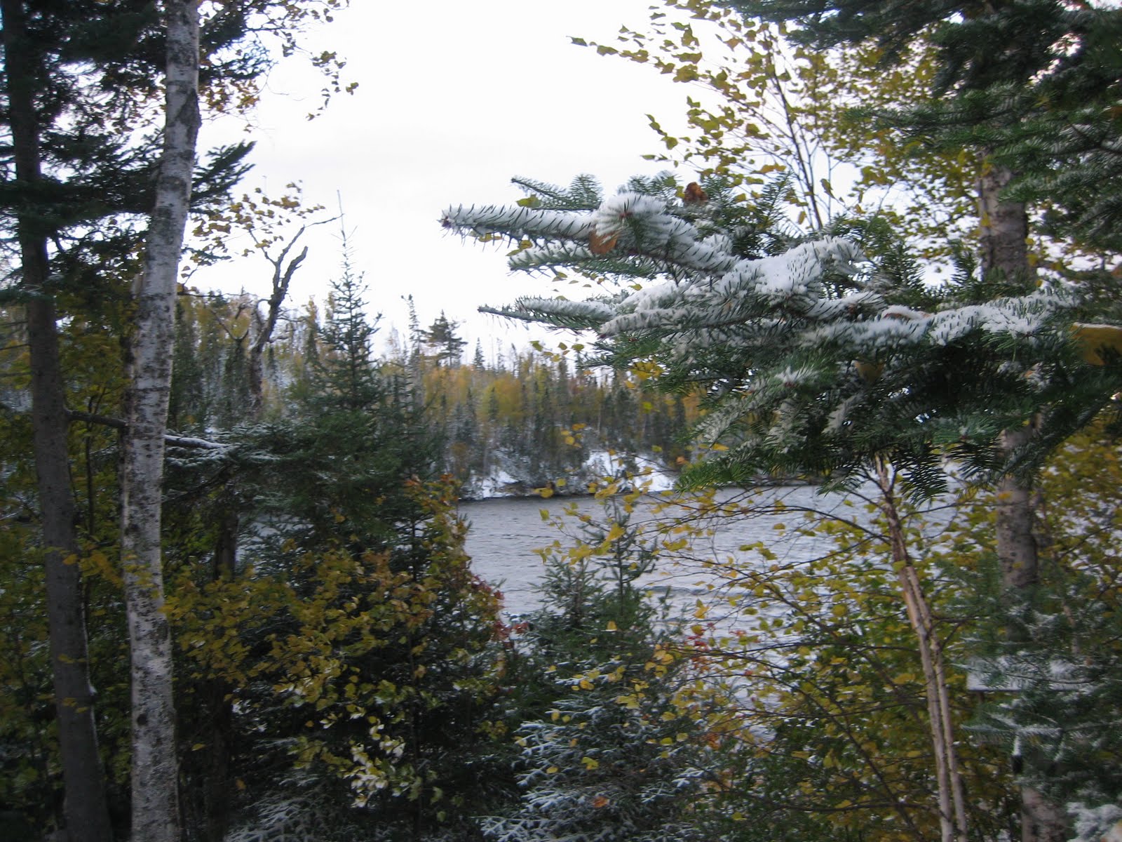 [IMG_0583.JPG]