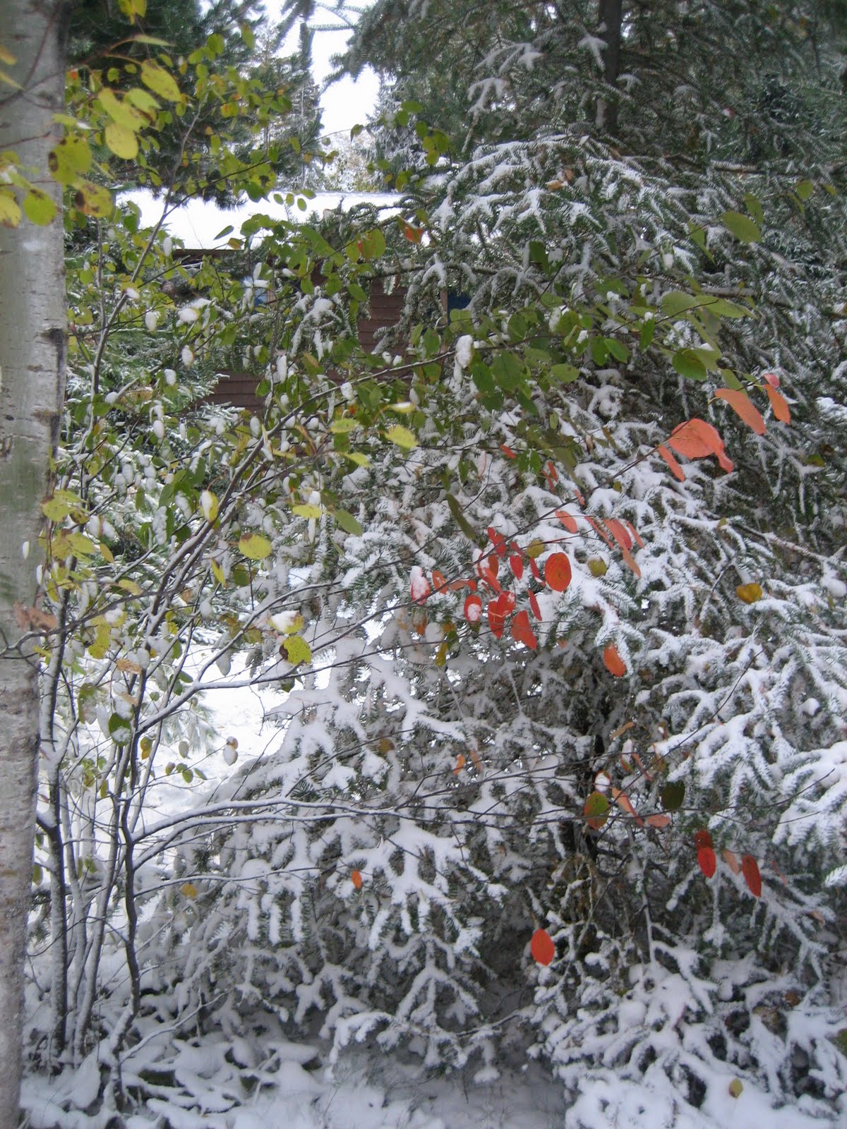 [IMG_0584.JPG]