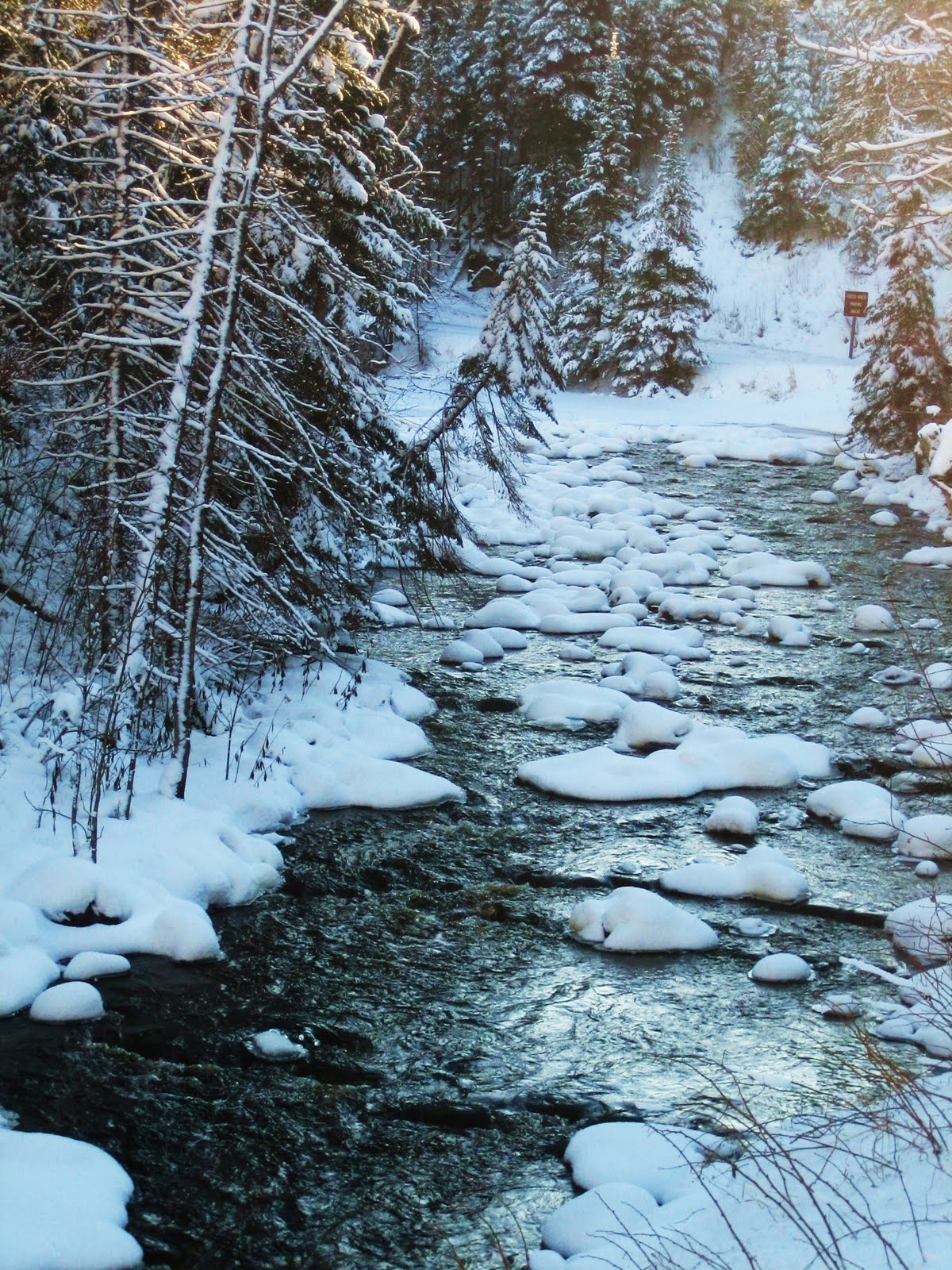 [Snowy+Cross+River.JPG]