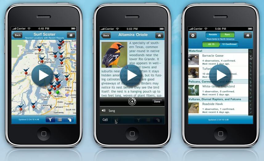 Birding Is Fun! Guest Review BirdsEye