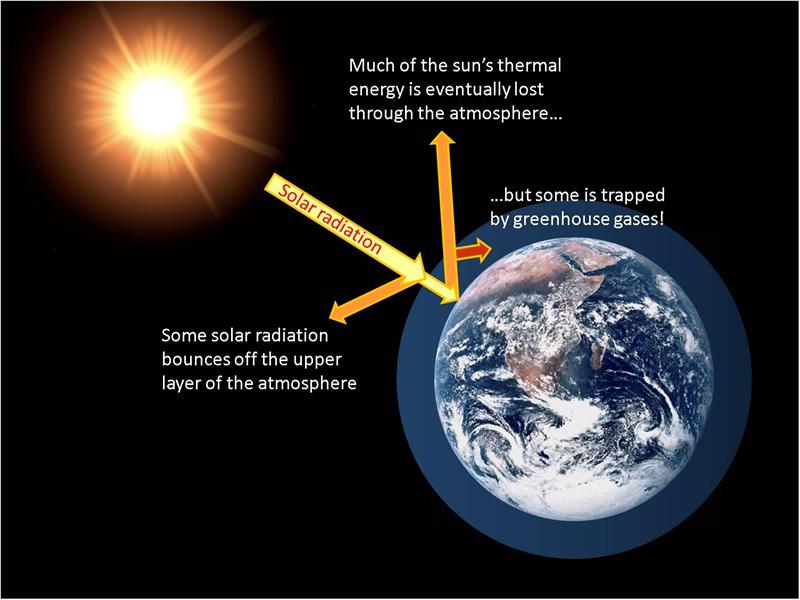 humans responsibility for the greenhouse effect and global warming On this page: what is global warming and climate change what are the main indicators of climate change what is the greenhouse effect the greenhouse effect is. humans responsibility for the greenhouse effect and global warming On this page: what is global warming and climate change what are the main indicators of climate change what is the greenhouse effect the greenhouse effect is.