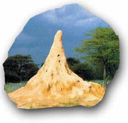 Kebesaran Tuhan