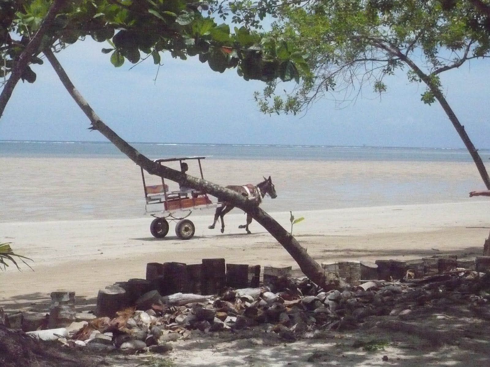 [P1010160.JPG]