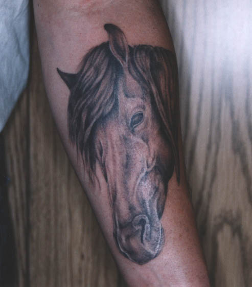 Brown horse tattoo.