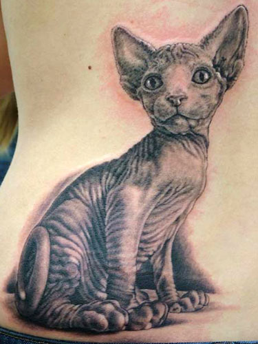 tattoo cats. Cat Tattoos