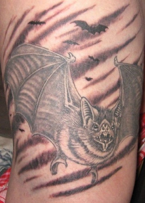 Wing Tattoo Ideas Bat Tattoos