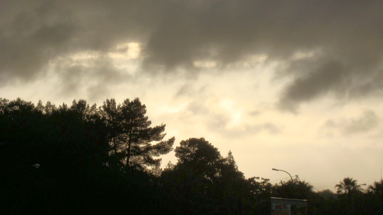 [DSC00428.JPG]