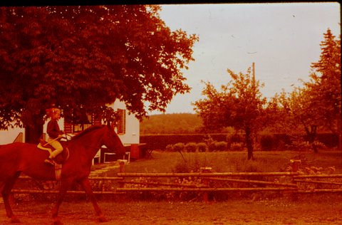 [scan0002-1.jpg]