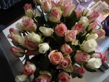 [DSC00636.jpg]