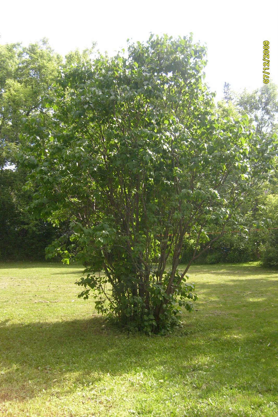 [S6300457.JPG]