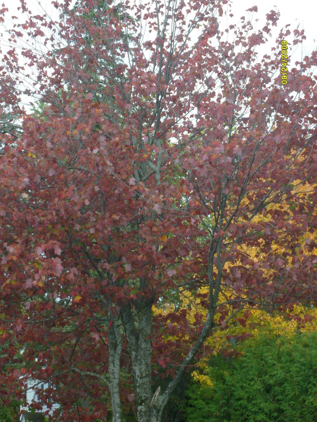 [S6301002.JPG]