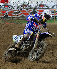 TONY CAIROLI