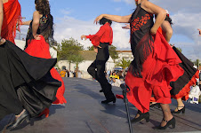 Fotografia vencedora na categoria O MOVIMENTO O CORPO E A DANÇA - Abril 2009