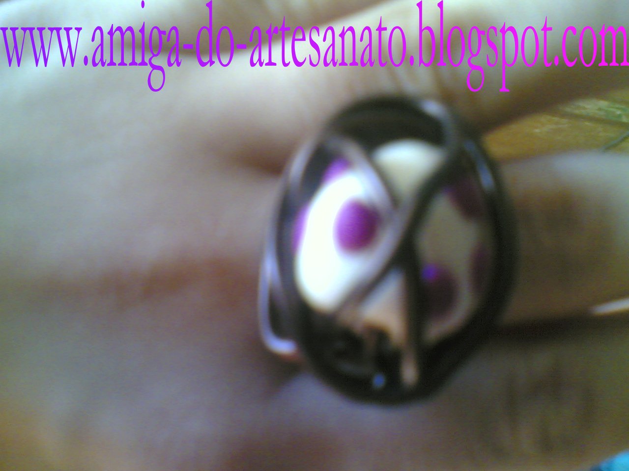 [10032009(007).JPG02.JPG]