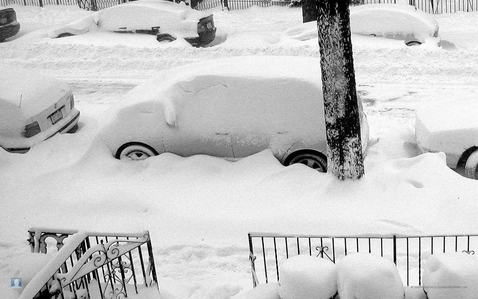 snowed in house