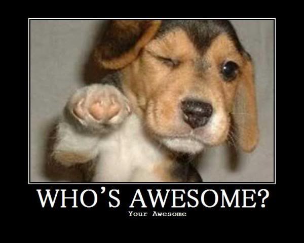 very awesome pics