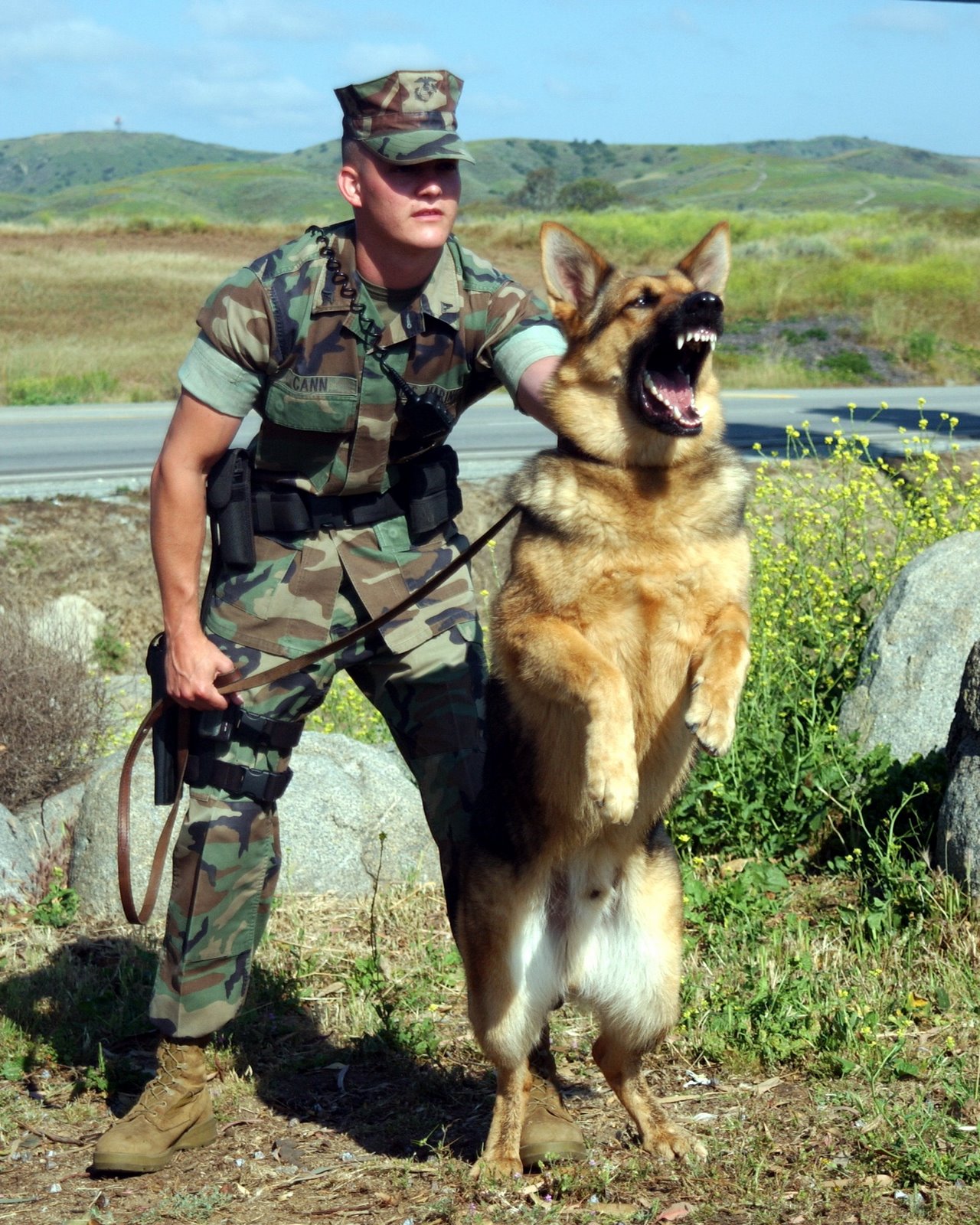 SGT. ADAM CANN & BRUNO