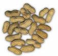 Memasak kacang