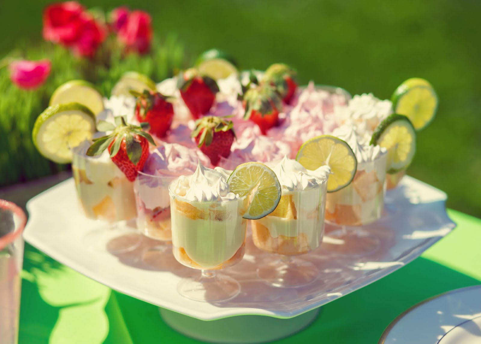 cake shooters container