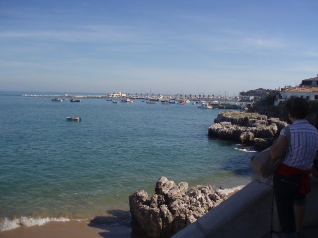 [P1010316.JPG]