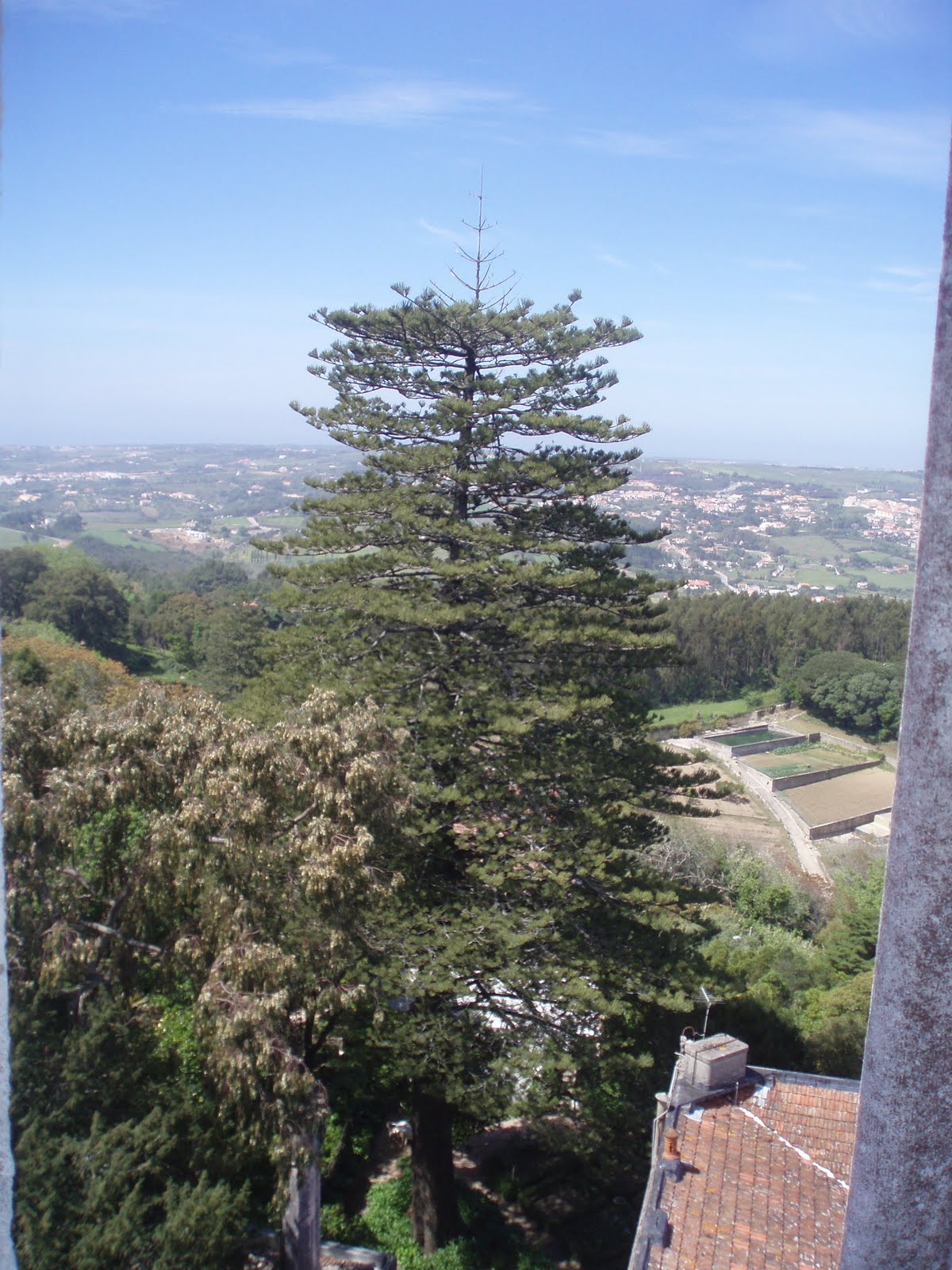 [P1010304.JPG]