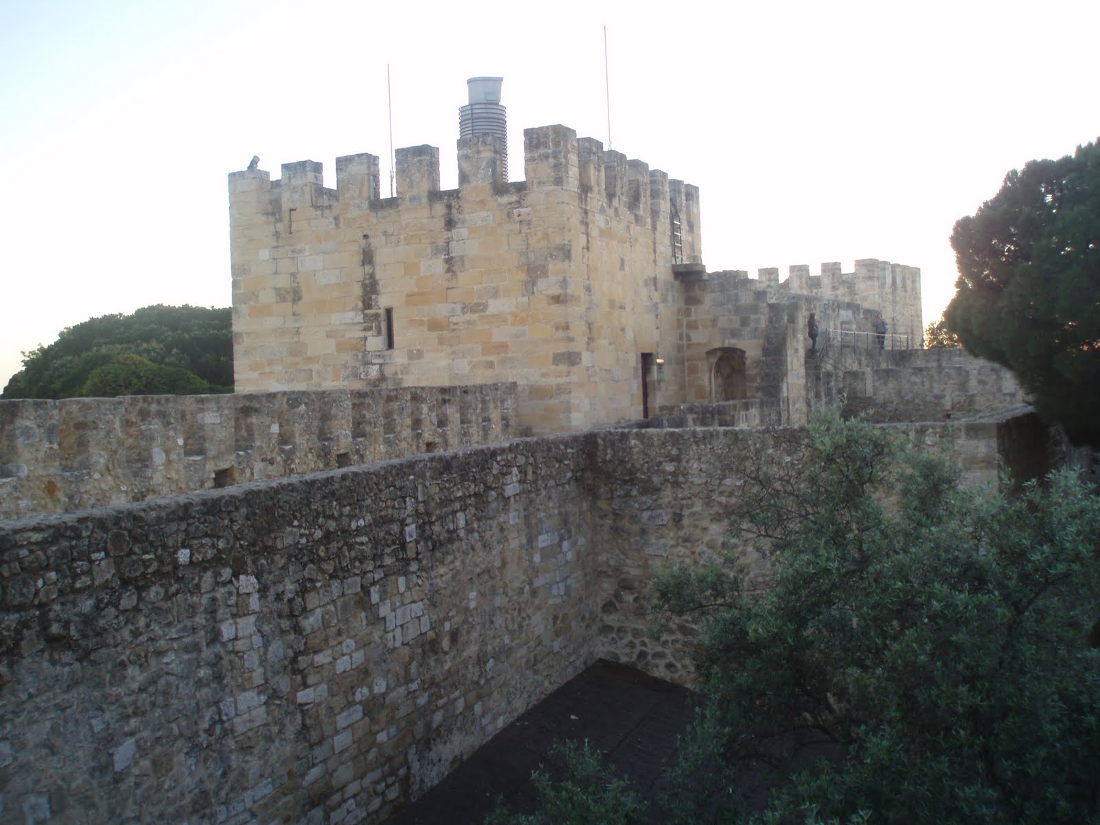 [P1010231.JPG]