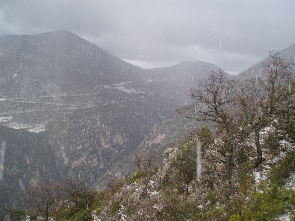 [P5090622.JPG]
