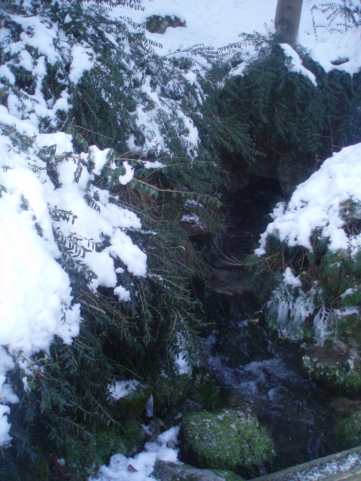[P1280054.JPG]