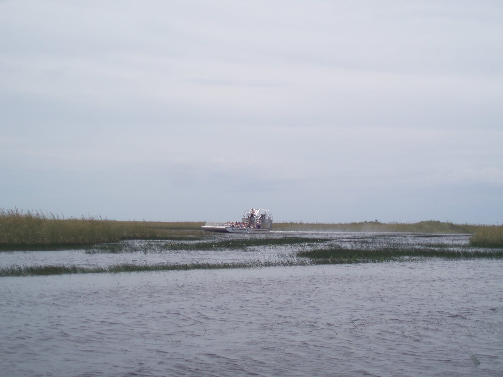 [P1010083.JPG]