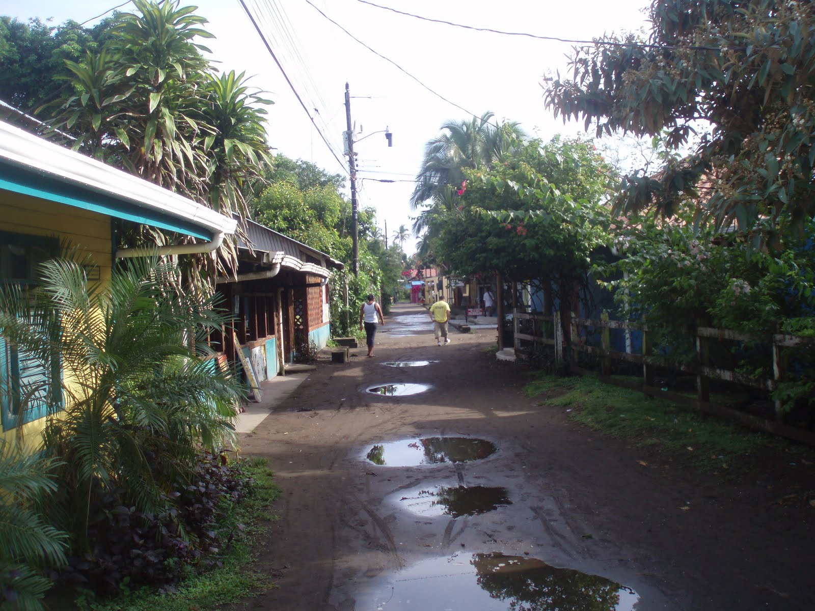 [P1010686.JPG]