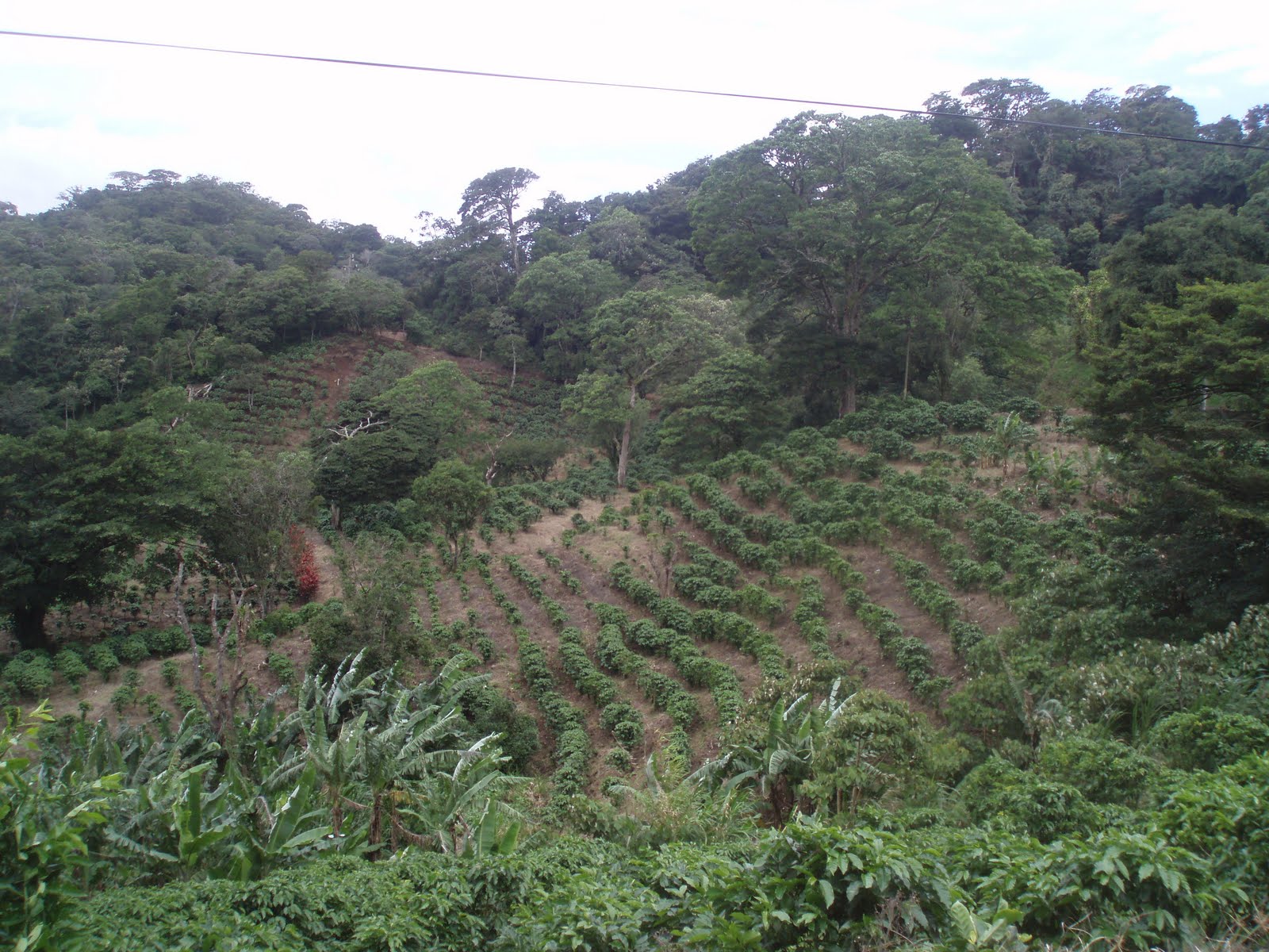 [P1010847.JPG]
