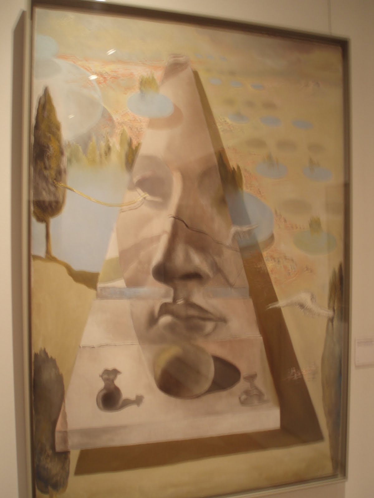 [P1011079.JPG]