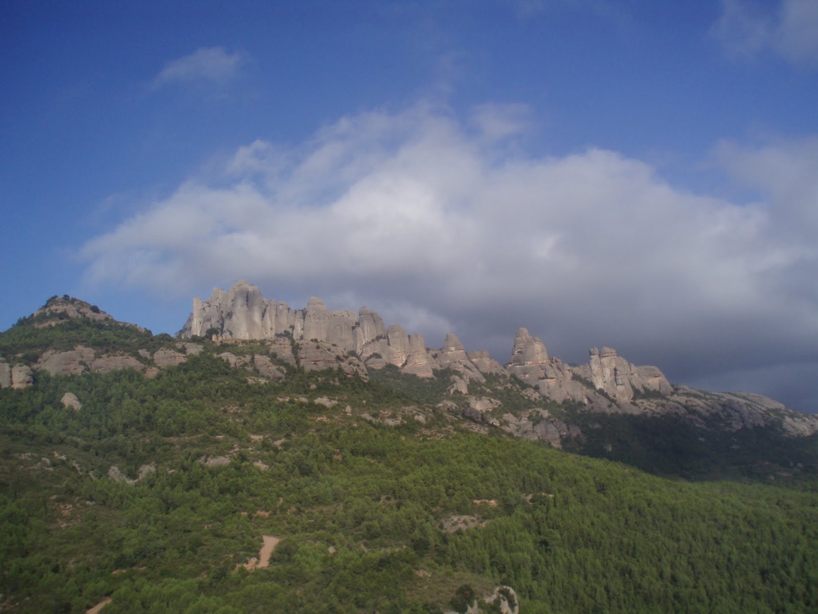 [P1011135.JPG]