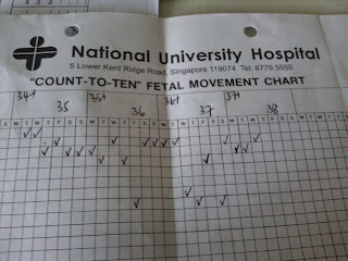 adelene the quot count to ten quot fetal movement chart fetal movement chart