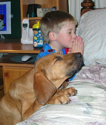 Bow Wow :) Kid+and+Dog+Pray